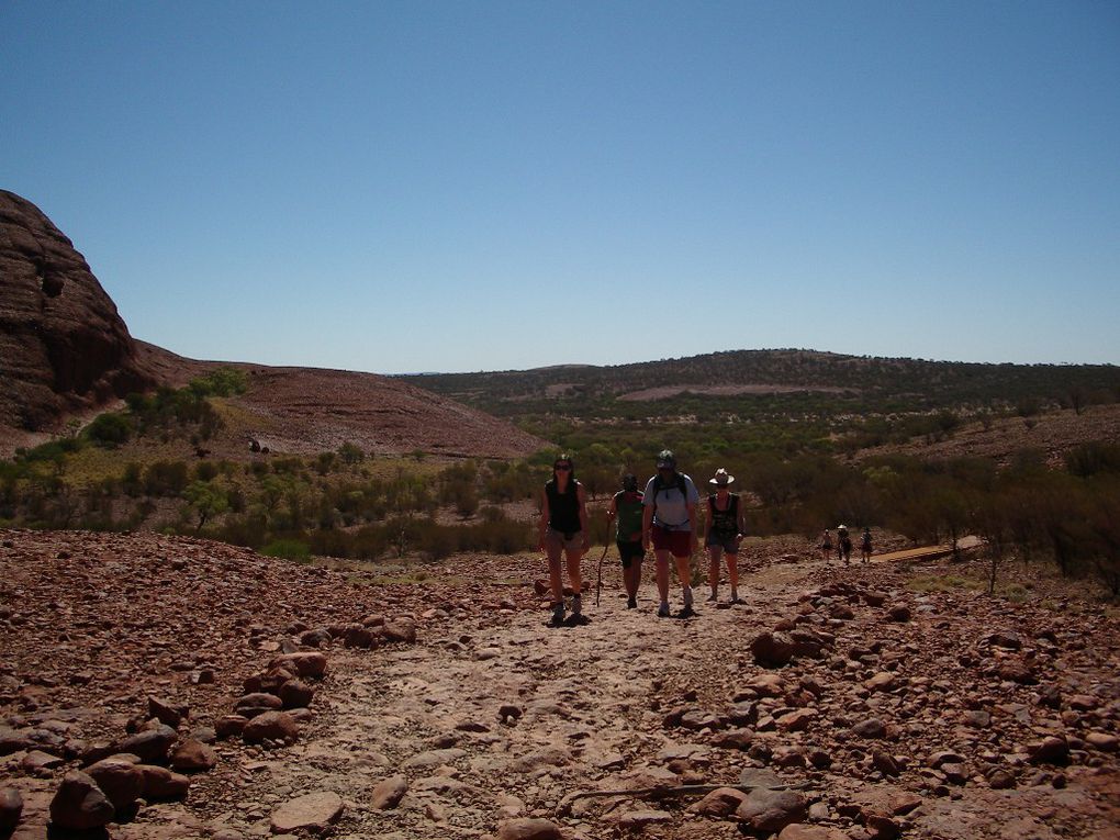 Album - The-Ultimate-Oz-Experience-2--Outback--The-Olgas---Ayers-Rock---Kings Canyon