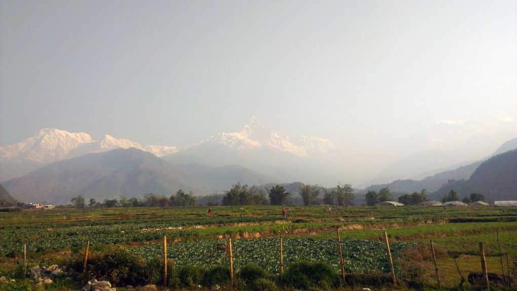 Sélection de photos de ce très beau voyage au Népal pour tout ceux à qui je n'aurai pas l'occasion d'en montrer la totalité ;o)