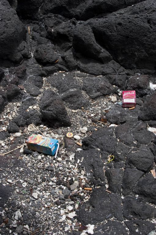 Méthode de suivi environnemental au Cap la Houssaye (Réunion) permettant d’évaluer l’état de santé d’un récif et de détecter des changements
écologiques liés à des perturbations naturelles ou humaines.