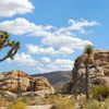 Road Trip in Joshua Tree