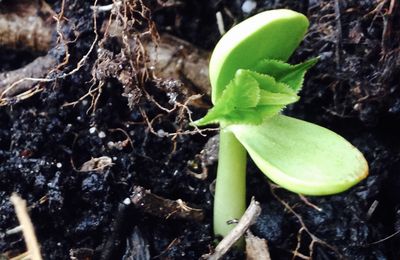 7ème anniversaire du blog et je suis encore là !