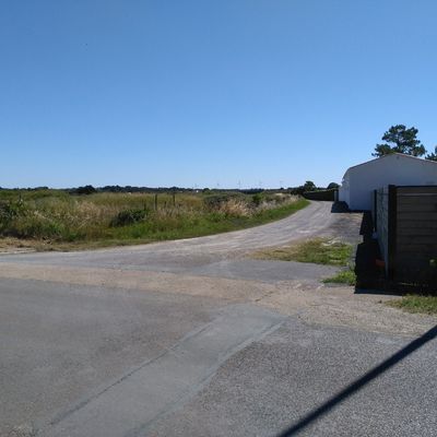 Passage Tour de France 7 juillet 2018 en forêt d'Olonne