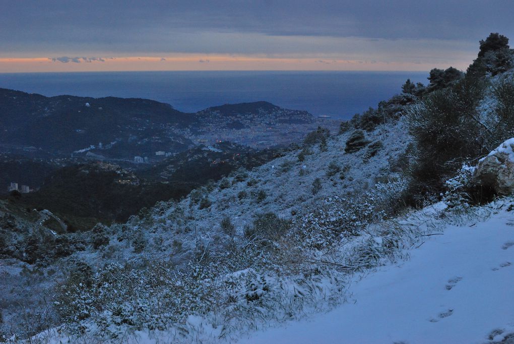 Premières Neiges sur les collines de Nice, le 26 Novembre 2010.
Photos prises du Mont Chauve à 750 M d'altitude.