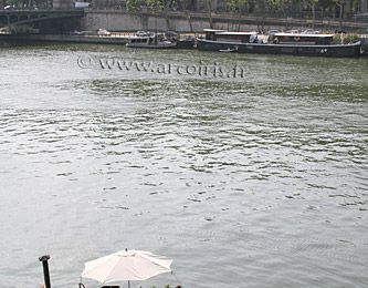 Mini-jardin sur la Seine