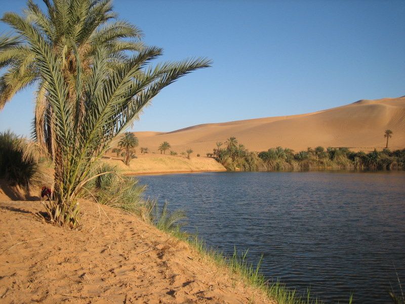 Voyage d'étude géobiologique dans le désert de l'Akakus en Décembre 2006 (pas chaud la nuit >-5°C et 30°C à midi)
aussi voyage à l'intérieur de soi...
énergies intéressantes....