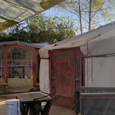 Un couple fait entrer le mot "permaculture" dans la Loi et obtient le droit de vivre dans leur jardin forêt !