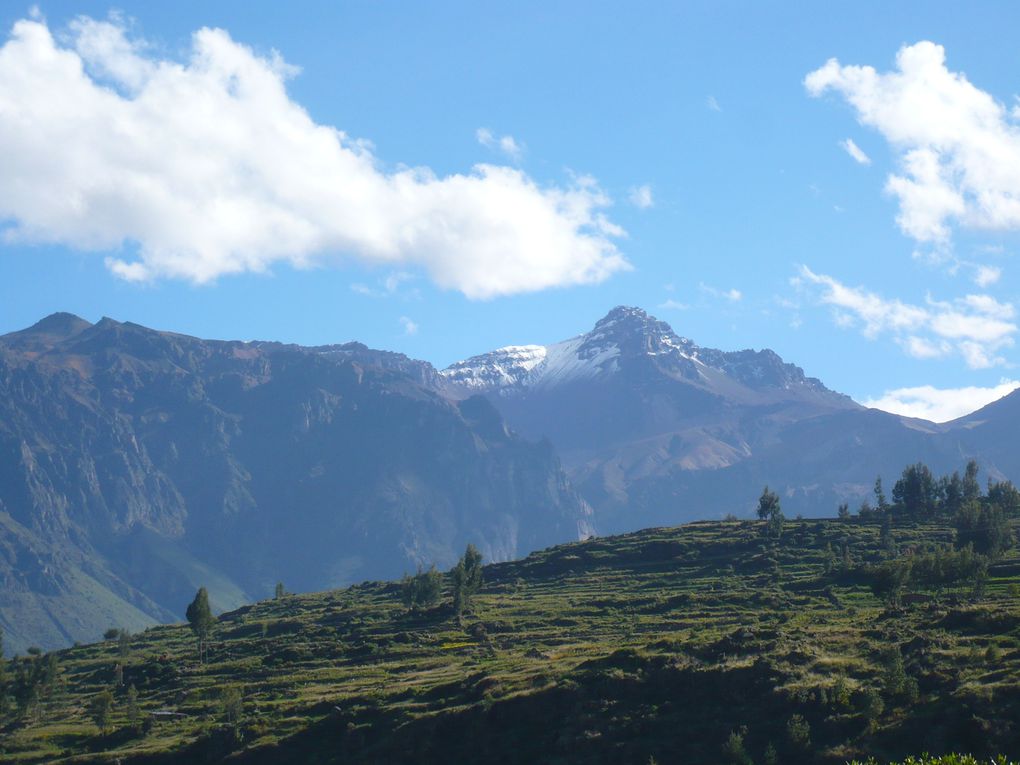 Album - arequipa