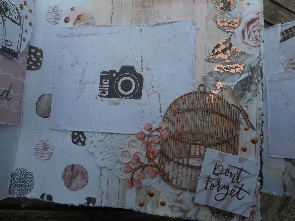 mini album shabby (rose quartz collection de prima)