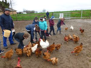 Nous sommes allés voir les canards et nous avons donner des grains aux poules.