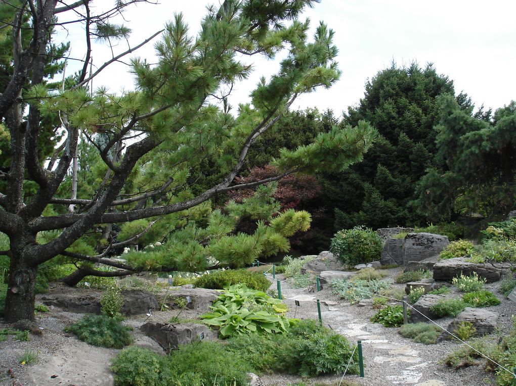 Album - jardin-botanique-et-biodome