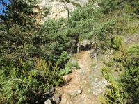 21 octobre 2016 : Endurance Trail des Templiers