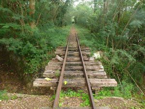 Le train sucrier de la côte de corail