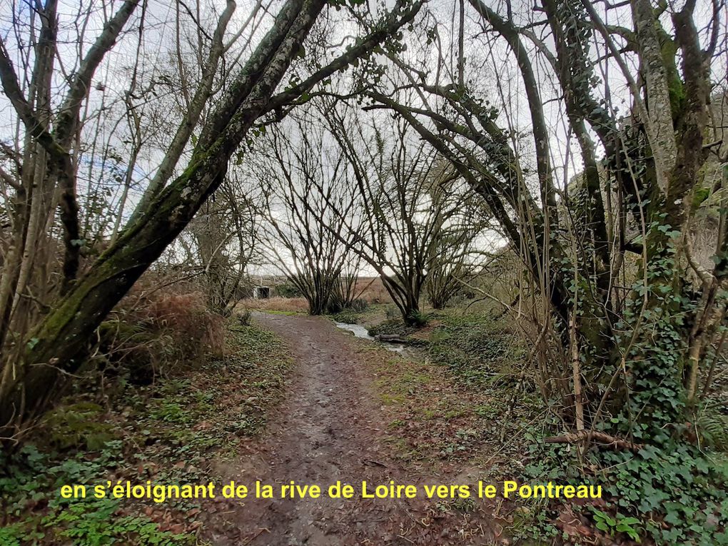 Le groupe 10 km patauge à Mauves-sur-Loire