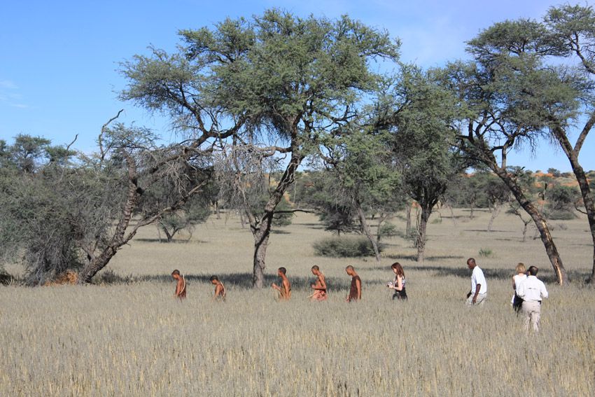 Quelques images de la Namibie principalement le Kalahari et Sossulvlei. J'ai adoré la palette de couleurs de ce pays, le contact des populations, les lodges, le soleil, la cuisine enfin j'y retournerai et cette fois je ferai des vues aériennes.