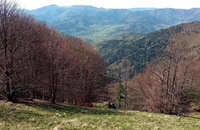 Dimanche 14 avril  Le Markstein