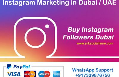 buy instagram followers Dubai through paypal