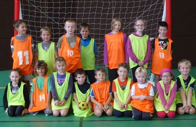 l'ESSENTIEL DE l'OCM HANDBALL