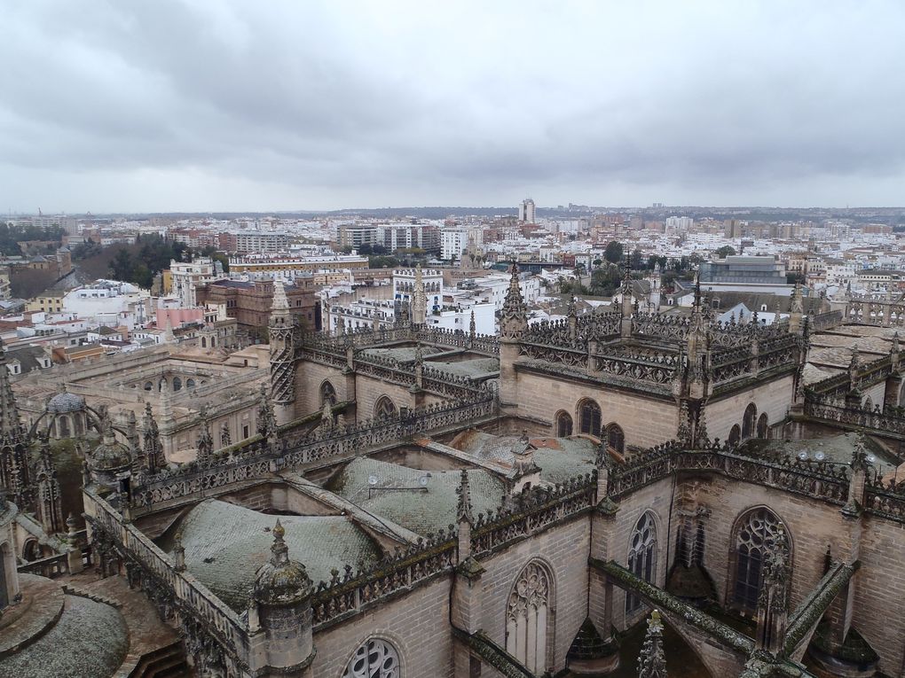 seville,4 jours pass'e là bas.Surment une ds plu beles viles que j'ai visité,où que l'on pose les yeux on en prend plein la vue.Le climat etait meilleur,ben qu'humide, ce qui m'aura permis de profiter de la ville au maximum.