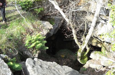 le bois de Gourdon