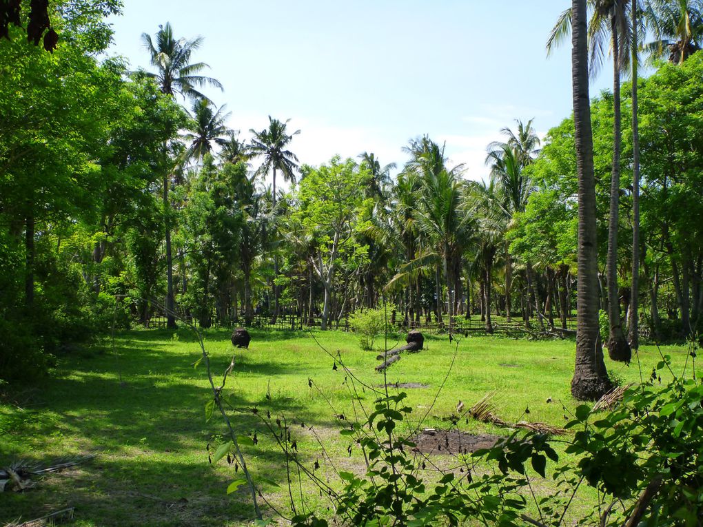 Lombok (Indonésie), décembre 2014