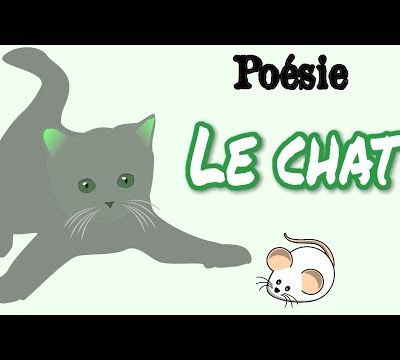 Poésie 🐈 Le chat de Charles Beaudelaire 🐈