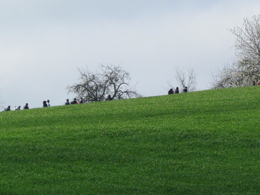 Le 10-04-16- Les 3 châteaux