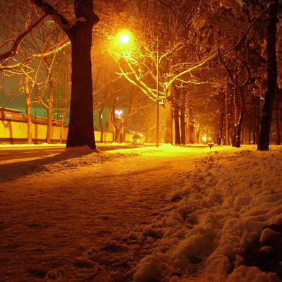 Le printemps arrive à Beijing