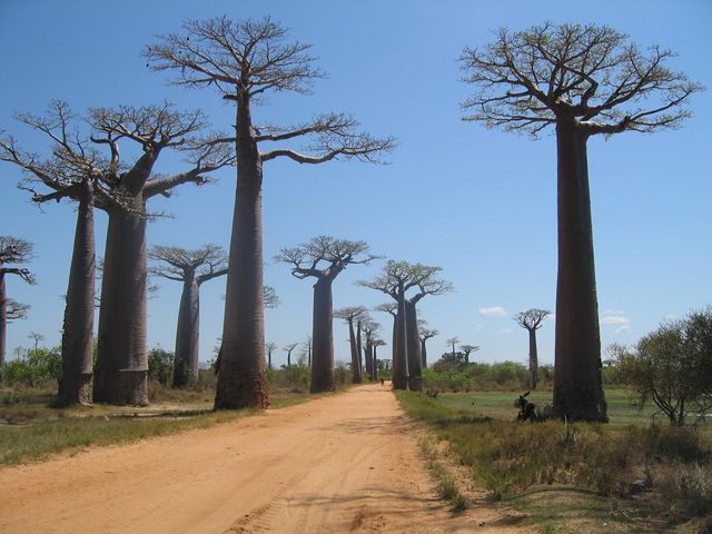 TULEAR MORONDAVA MAINTIRANO MAJUNGA