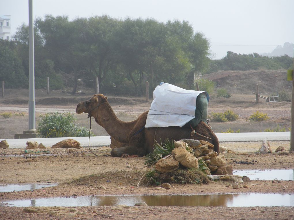 Album - Premiers-pas-Maroc---Tanger