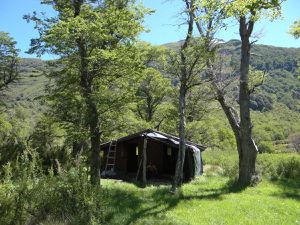 Ultime étape (et pas des moindres) en Patagonie