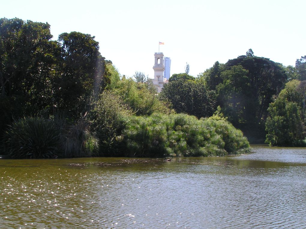 Album - Melbourne-Botanical-Garden