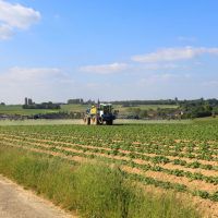 Pesticides et pathologies pédiatriques : le CHU d'Amiens est-il dans son rôle ?