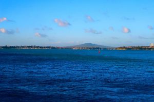 Rangitoto Island!