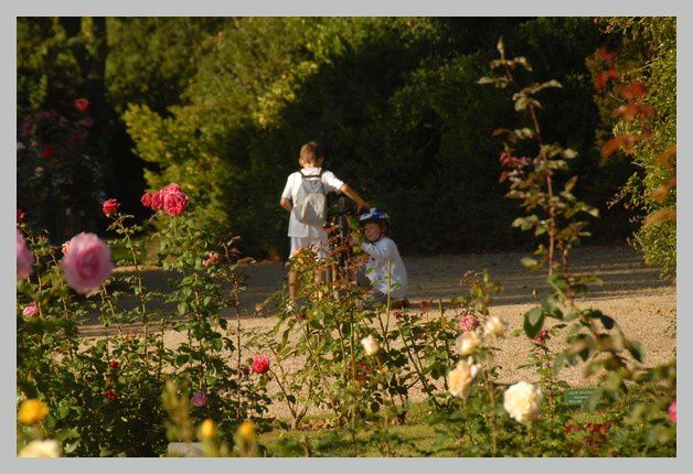 Album - Rallye-pedestre-12-septembre-2010