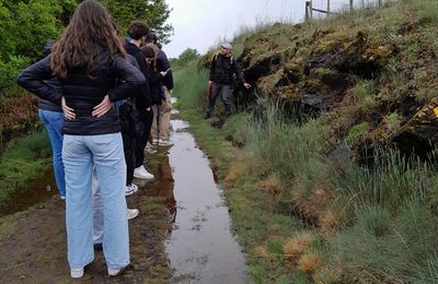 A la découverte de la lande à serpentine