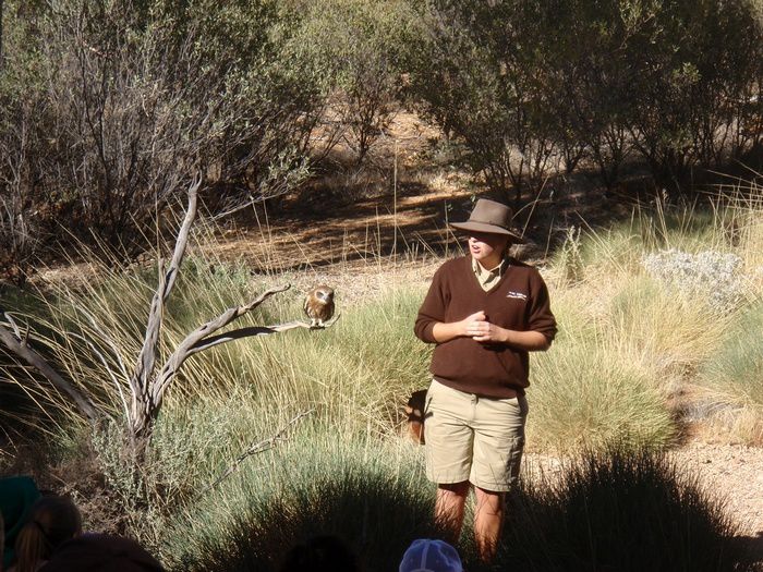 Album - Central-Australia