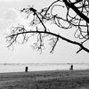 Aux longues plages de silence