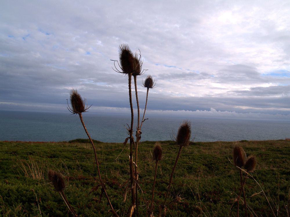 Album - Images de Bretagne