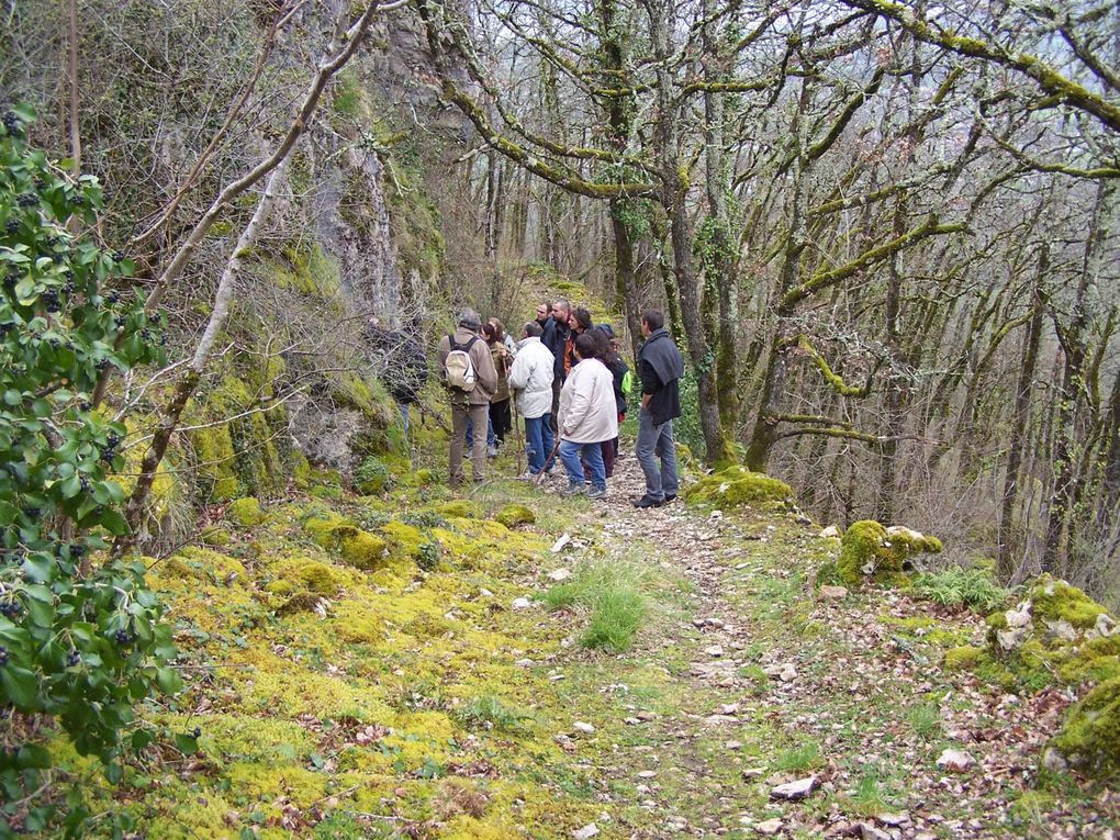 Quelques adhérents nous proposent des balades:avec Jean-Michel Gaudron, naturaliste, des balades découverte, avec Laurent Huchot des marches plus sportives, Christine Ducoux, Quince Graveson, Marie-Ange Dreyer, balade et patrimoine... presque tous