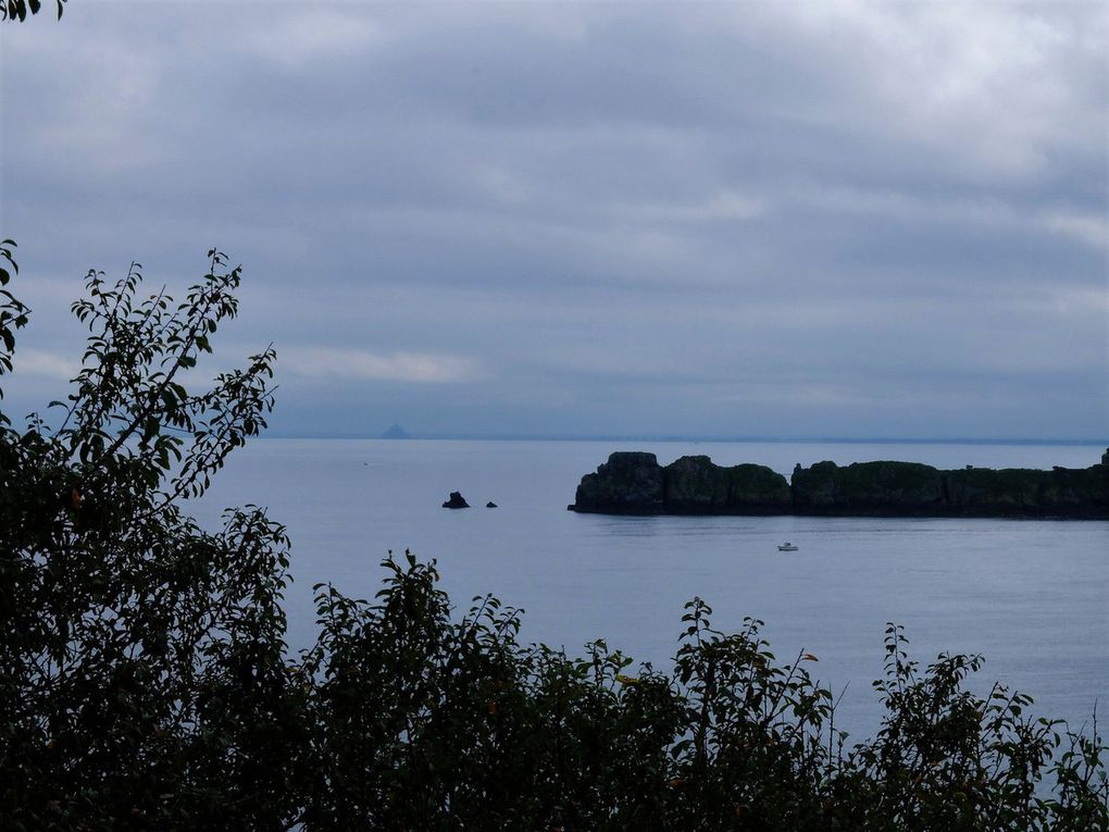 Les &quot;bancales&quot; à Cancale 