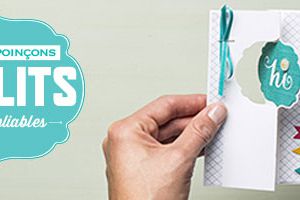 Encore des nouveautés chez Stampin'Up!