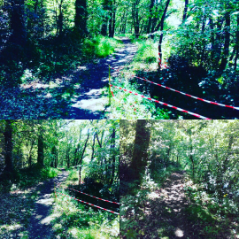 Chemin de randonnée 