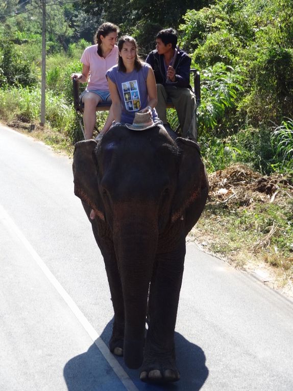 Nos photos du Laos et du début de la Thaïlande