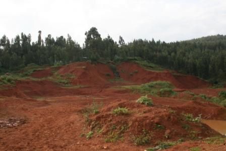 Yeteem Children and Destitute Mothers Fund, Asko (quartier périphérique à l'Ouest d'Addis), de l'autre côté de Wingate (porte vers l'autoroute). Difficile d'accès en ce moment car une route est en construction...