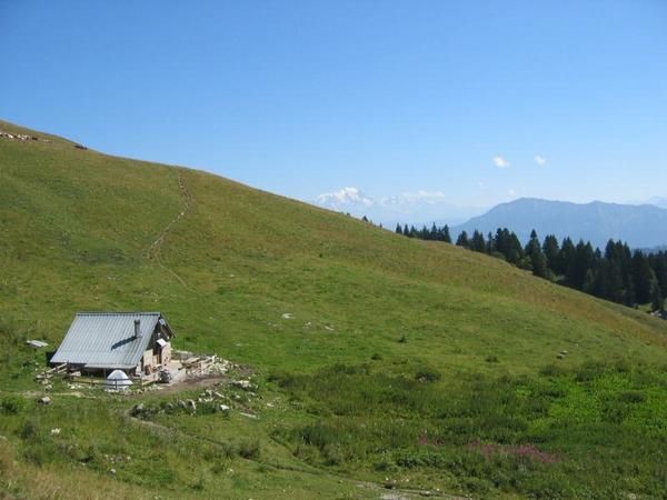 Quelques images des sorties de l'été 2008