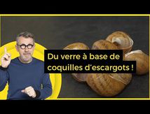 Du verre à base de coquilles d'escargots