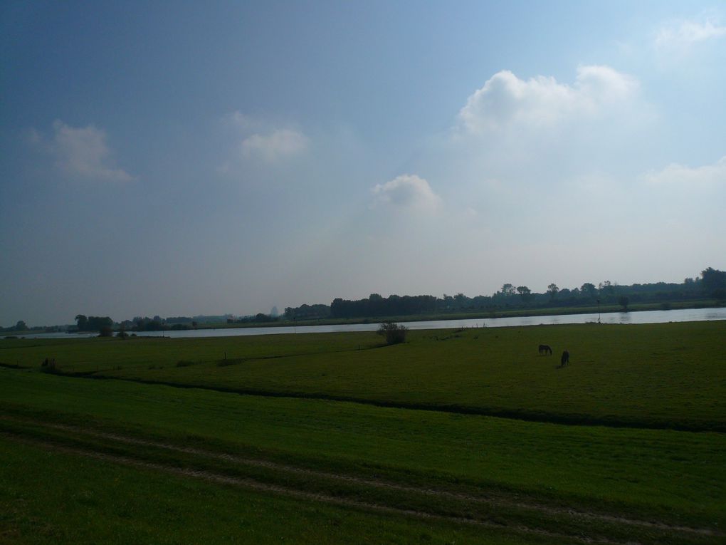 Pris entre la Belgique, l'Allemagne et la mer du Nord, les Pays-Bas offrent des paysages uniques.