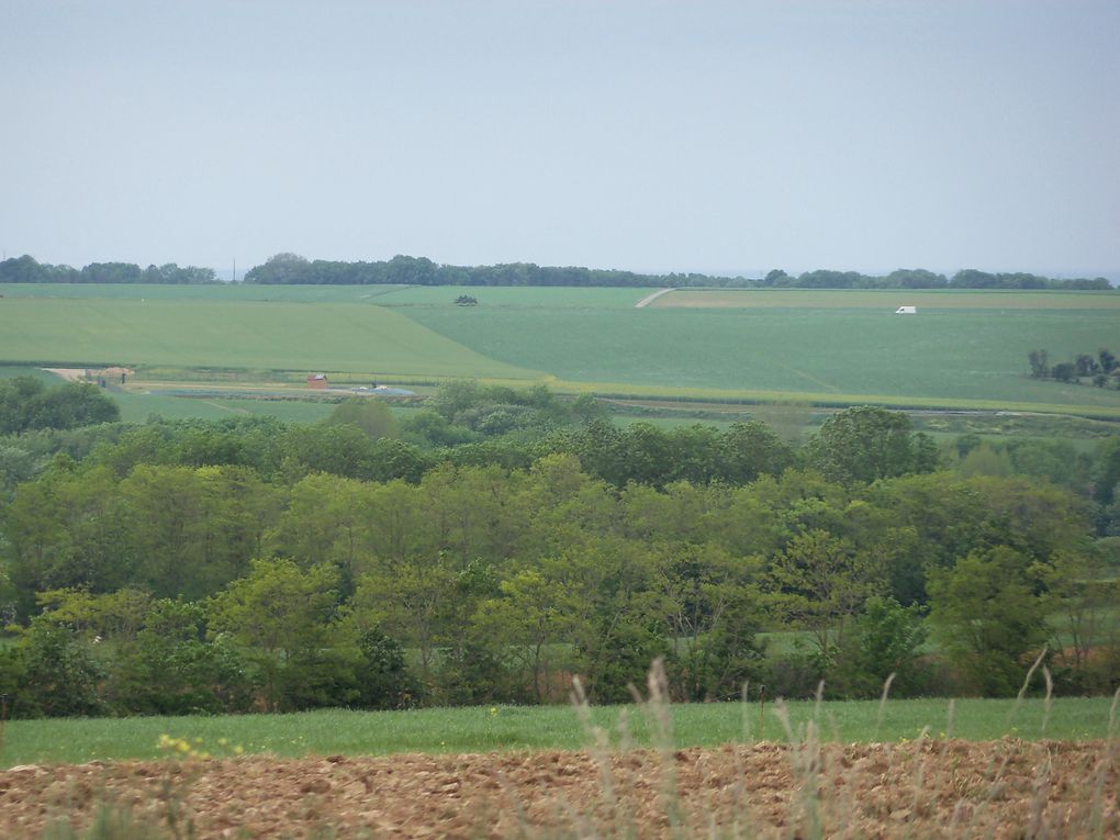 Album - le-printemps-chez-moi