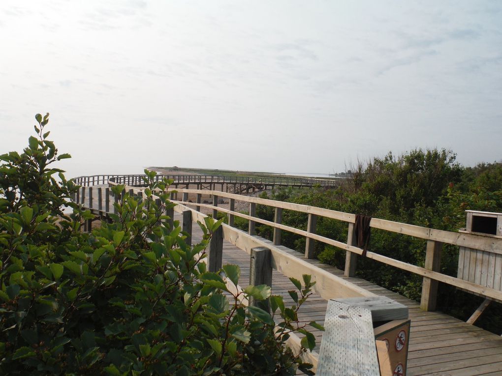 Baie de Bouctouche