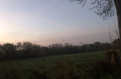 CE Matin 